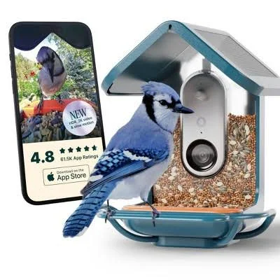 Bird Buddy Smart Solar Bird Feeder with Camera and Perch Extender – Blue, photo 2 of 7