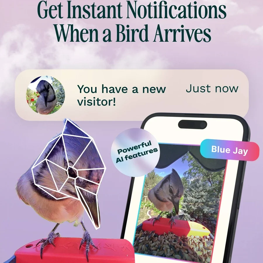 Bird Buddy Smart Solar Bird Feeder with Camera and Perch Extender – Blue, photo 4 of 7